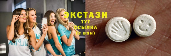 хмурый Арсеньев