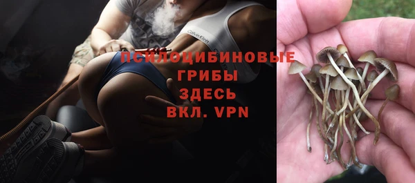 хмурый Арсеньев