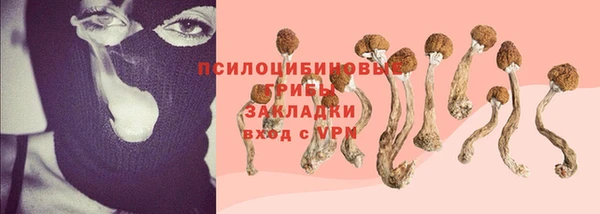 крисы Армянск