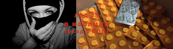 хмурый Арсеньев