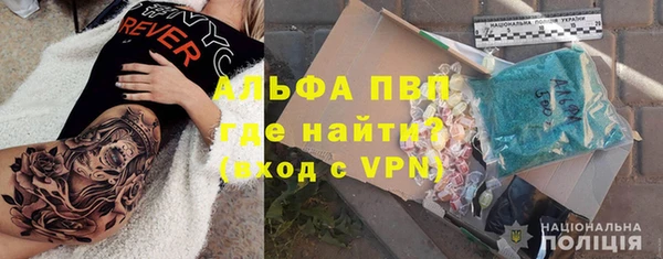 хмурый Арсеньев