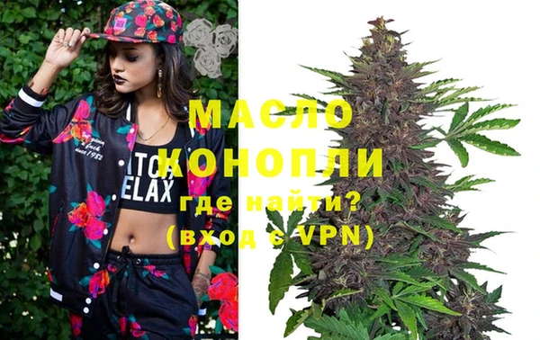 хмурый Арсеньев