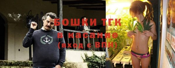 крисы Аркадак